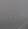 Fog, Overcast